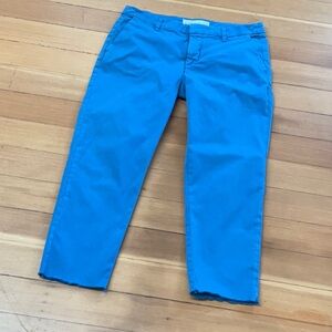 Frank & Eileen Wicklow Pants Vibrant Blue sz10
